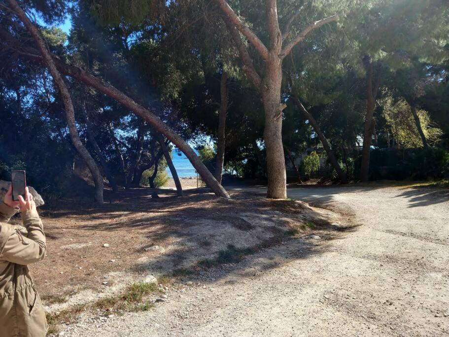 Acogedor Bungalow Adosado El Campello Eksteriør billede