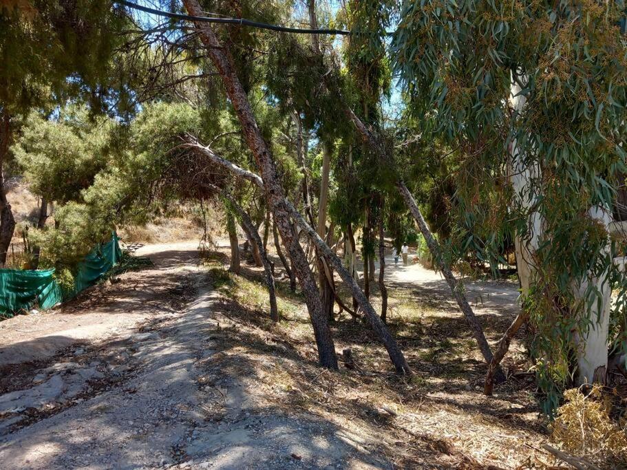 Acogedor Bungalow Adosado El Campello Eksteriør billede